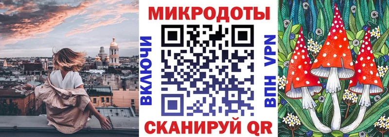 Псилоцибиновые грибы Psilocybe Купить где Дятьково